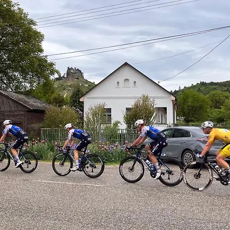 Πανσιόν Vitamin K73 Vendeghaz Boldogkοváralja